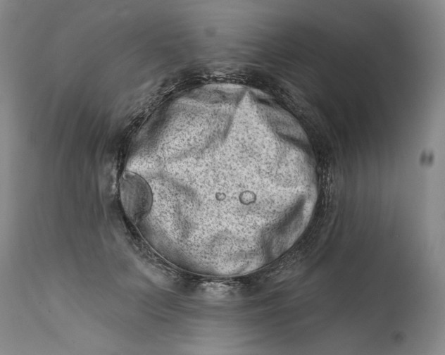 X0000113200703200910011256