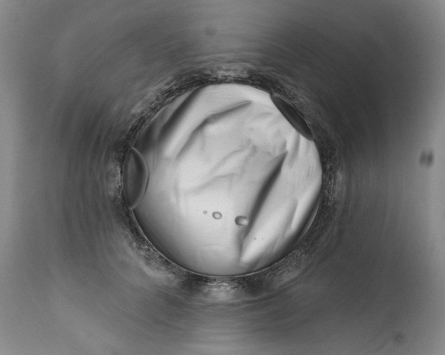 X0000113200704200910011256