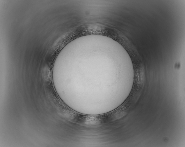 X0000113200705200910011256