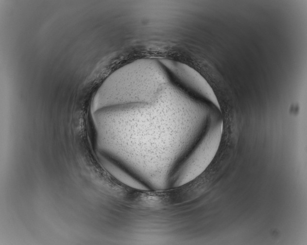 X0000113200706200910011256