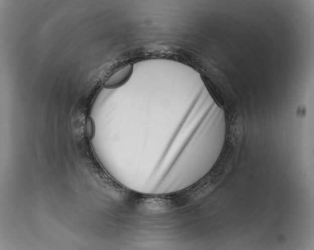 X0000113200708200910011256