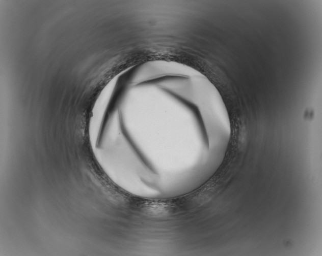 X0000113200710200910011256