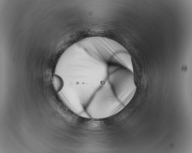 X0000113200711200910011256