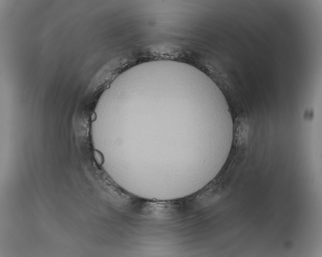 X0000113200713200910011256