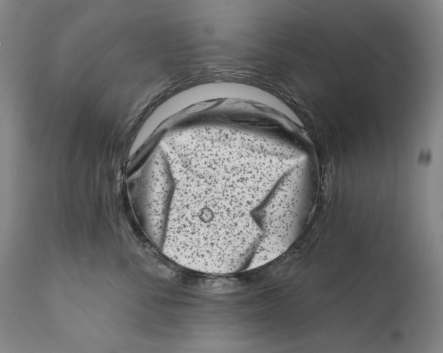 X0000113200716200910011256