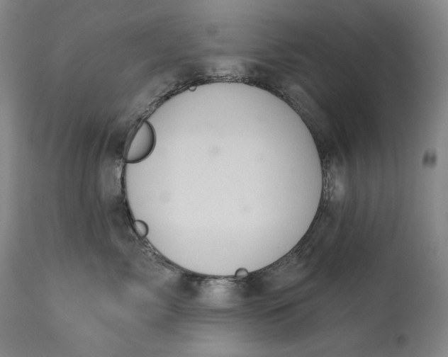 X0000113200717200910011256