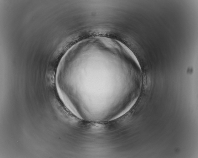 X0000113200718200910011256