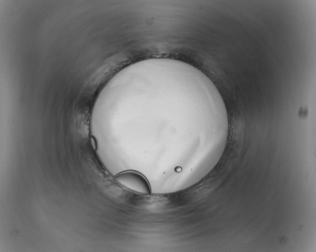 X0000113200719200910011256