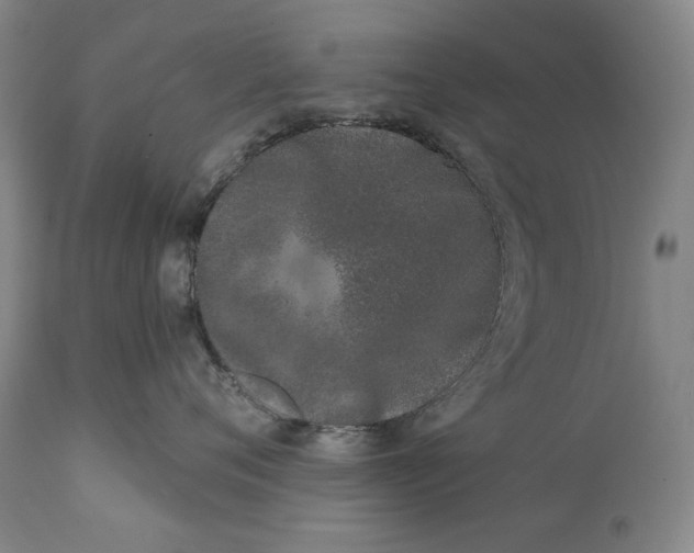 X0000113200720200910011256