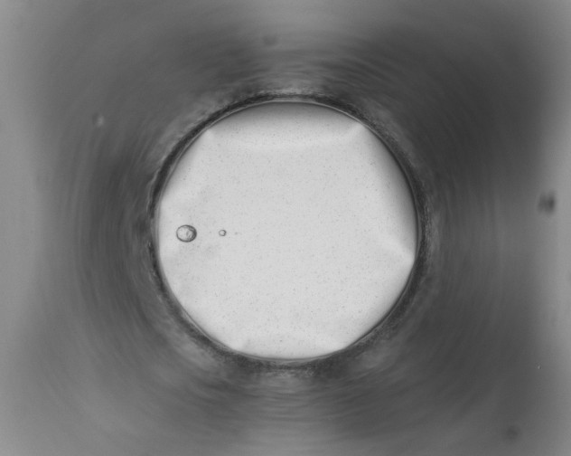 X0000113200721200910011255