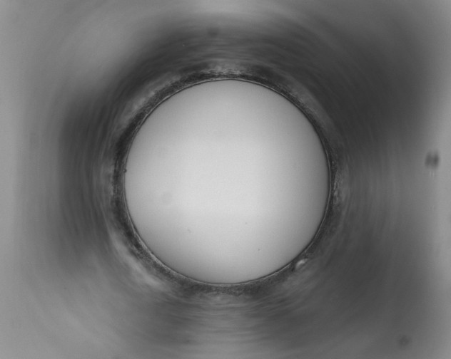 X0000113200722200910011255