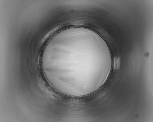 X0000113200723200910011255