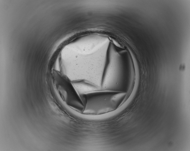 X0000113200724200910011255