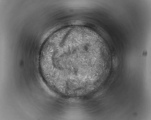 X0000113200725200910011255