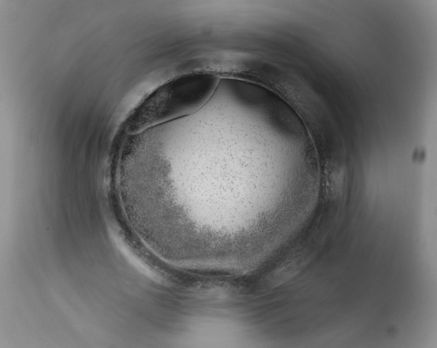 X0000113200726200910011255