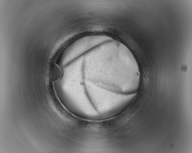 X0000113200728200910011255