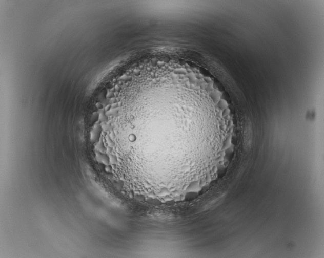 X0000113200729200910011255