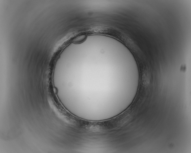 X0000113200730200910011255