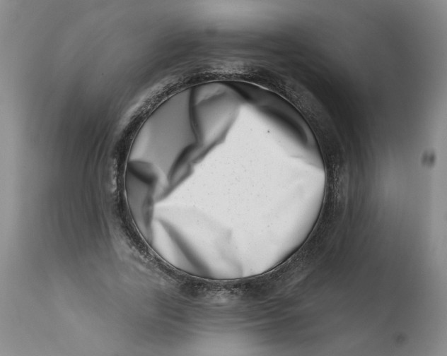 X0000113200731200910011255