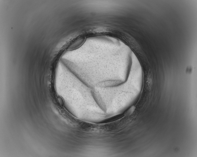 X0000113200732200910011255