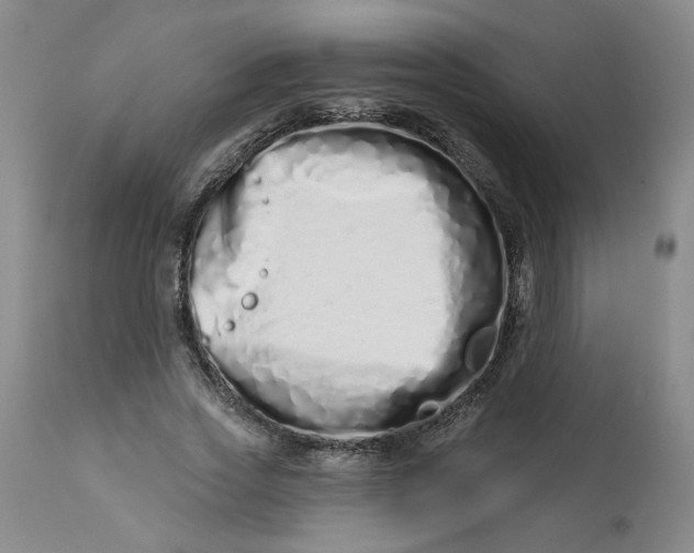 X0000113200733200910011255