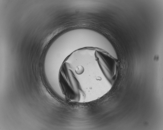 X0000113200734200910011255