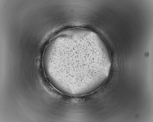 X0000113200736200910011255