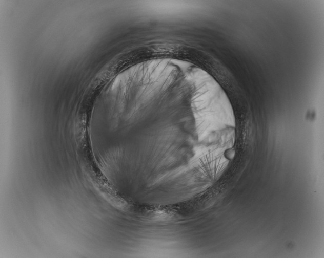 X0000113200737200910011255