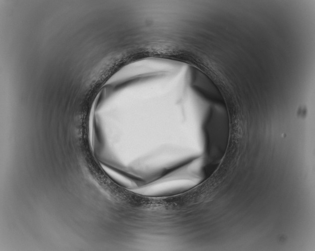 X0000113200738200910011255