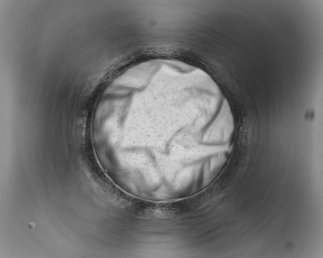 X0000113200739200910011255