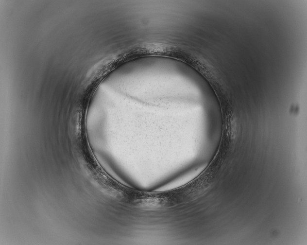 X0000113200740200910011255