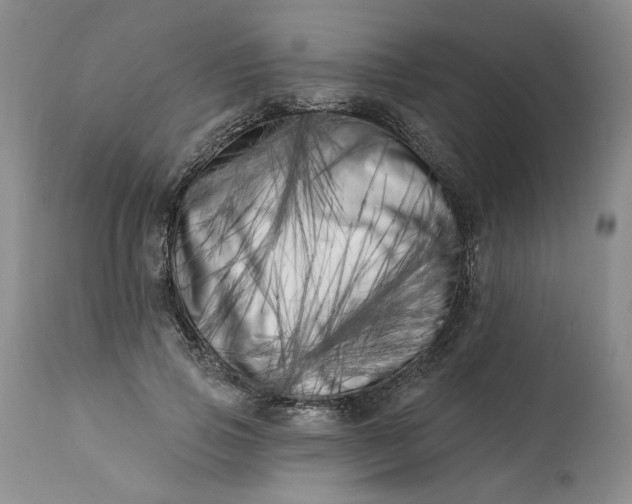 X0000113200741200910011255