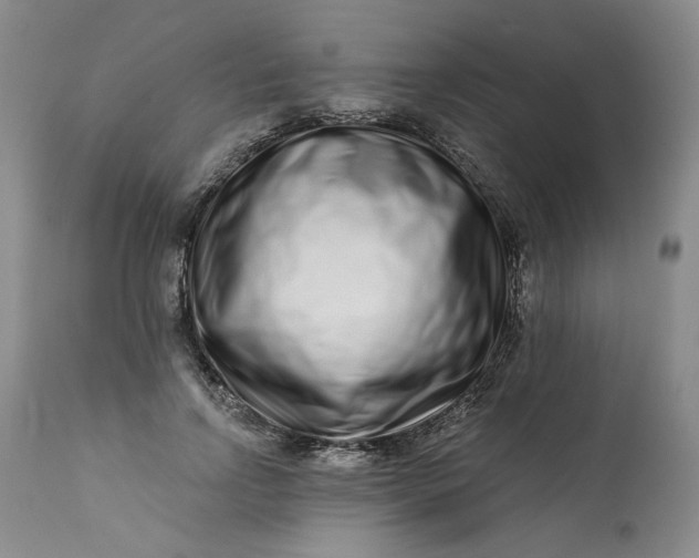 X0000113200742200910011255