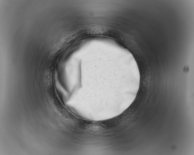 X0000113200743200910011255