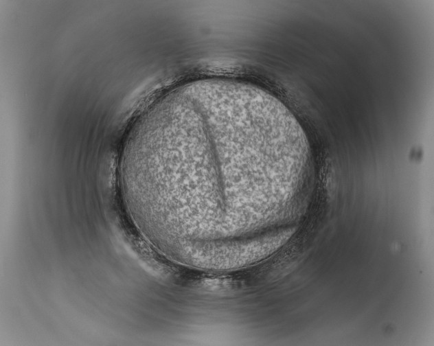 X0000113200744200910011255