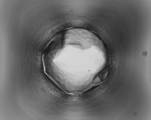 X0000113200745200910011255