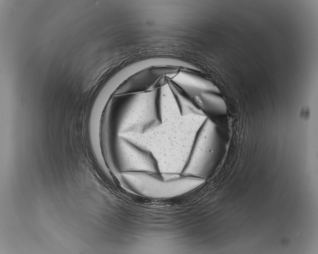 X0000113200746200910011255