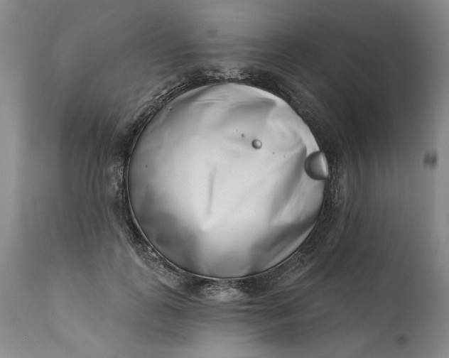 X0000113200747200910011255