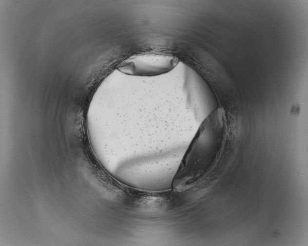 X0000113200748200910011255