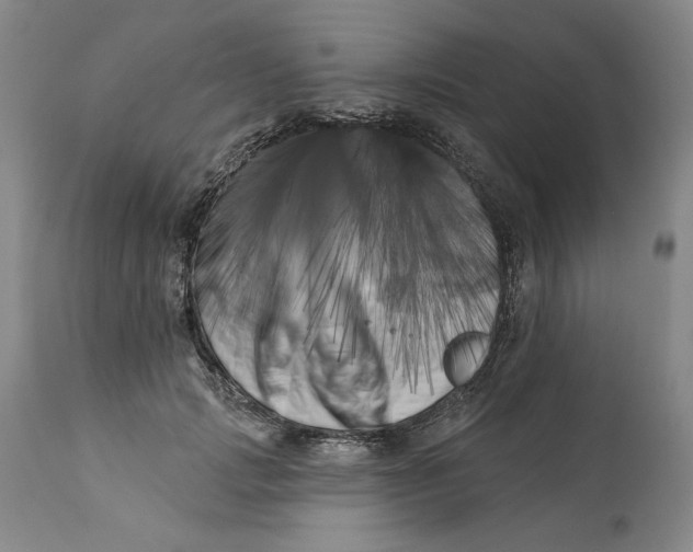 X0000113200749200910011255