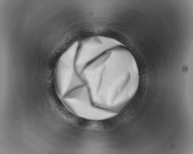 X0000113200750200910011255