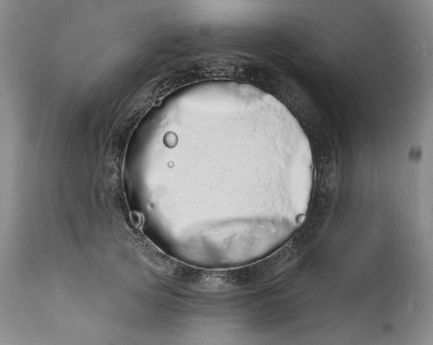 X0000113200753200910011255