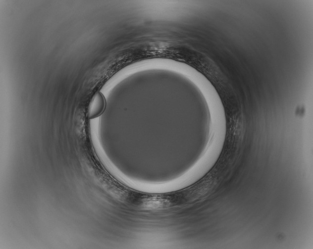 X0000113200754200910011255