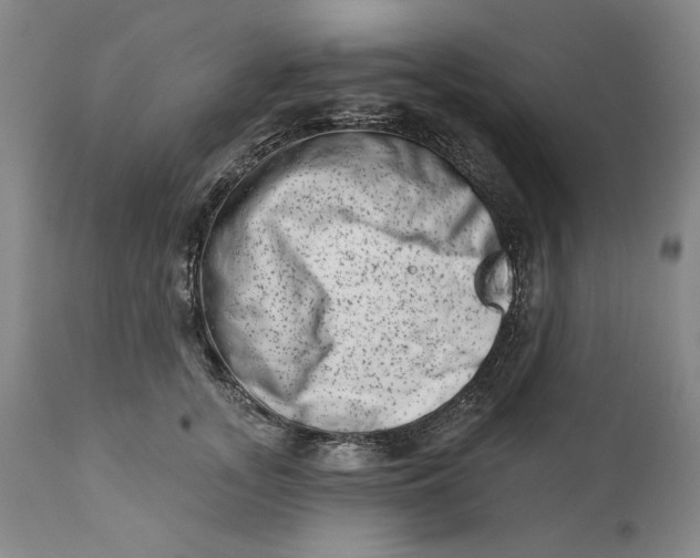 X0000113200755200910011255