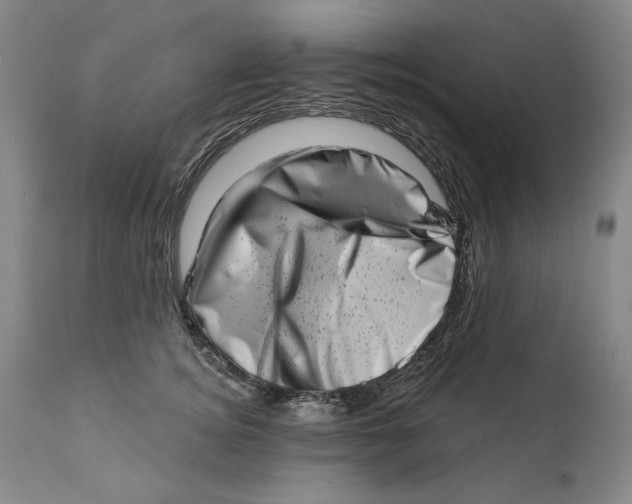 X0000113200756200910011255