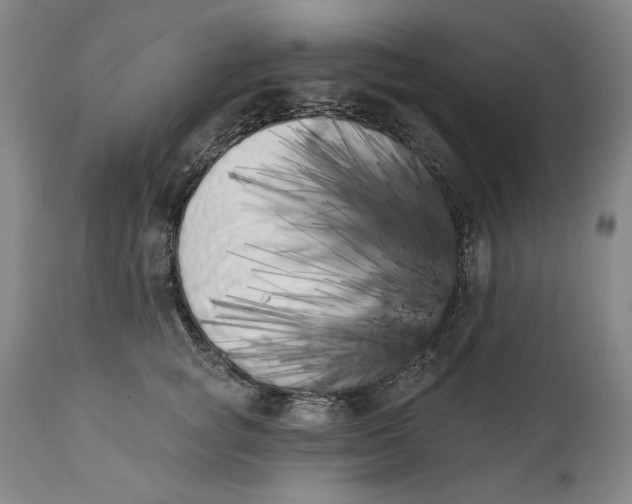 X0000113200757200910011255