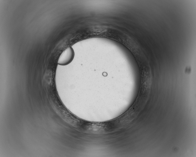 X0000113200758200910011255