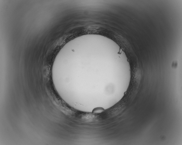 X0000113200759200910011255