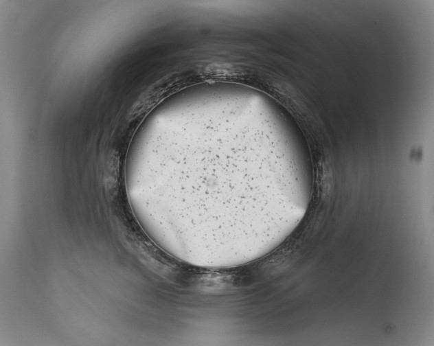 X0000113200760200910011255