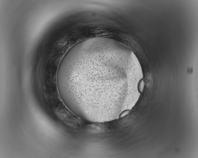 X0000113200763200910011255